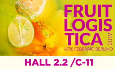 Fruitlogostica 2019