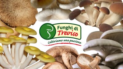 Consorzio Funghi di Treviso - Non solo champignon